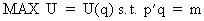 Formal derivation of demand systems